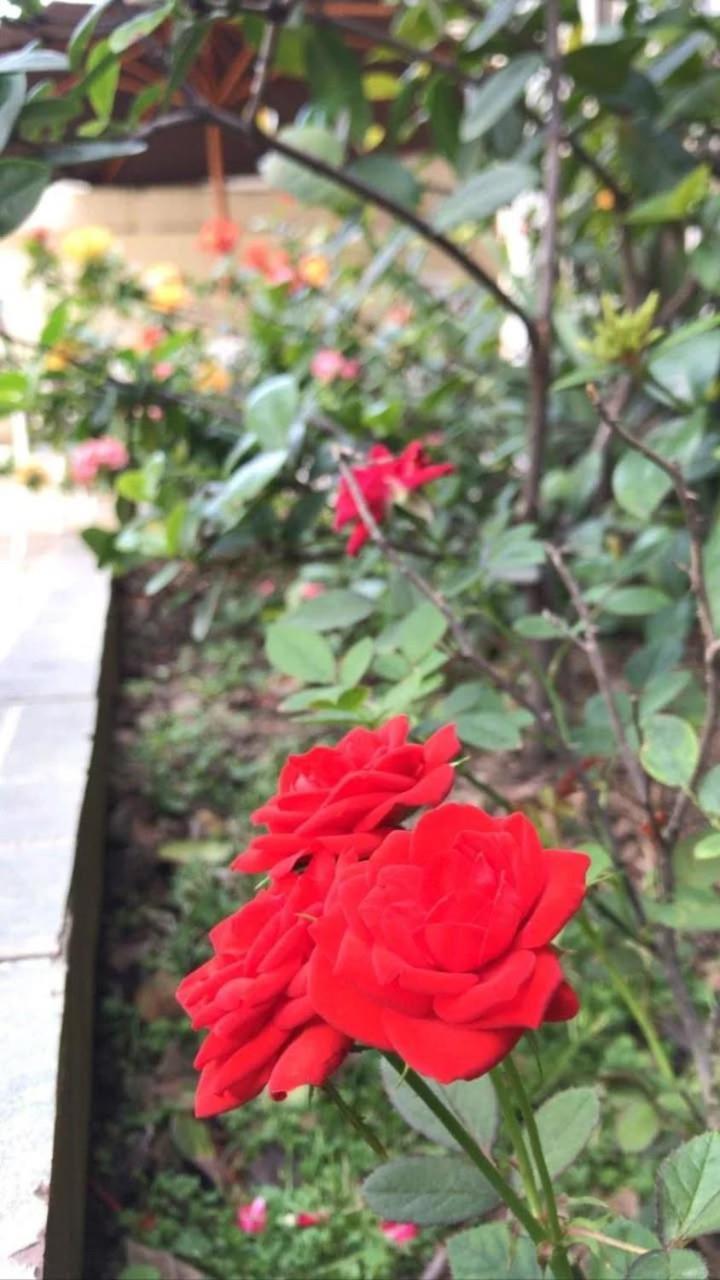 Villa Garza Inn Guayaquil Luaran gambar